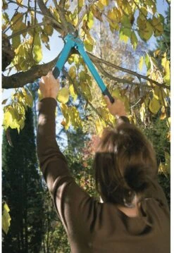 GARDENA Comfort 500 BL Takkenschaar - Max Knipdiameter 35 Mm 14 GARDENA Comfort 500 BL Takkenschaar - Max Knipdiameter 35 Mm -Gardena Verkoopwinkel 825x1200 8