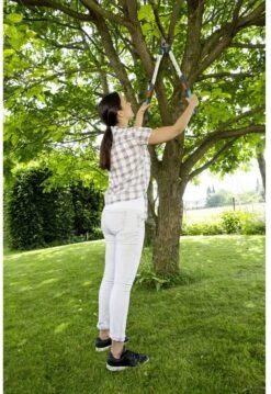 GARDENA - TeleCut Telescopische - Takkenschaar 520-670B - 42 Mm Verstelbare Lengte -Gardena Verkoopwinkel 826x1200 1