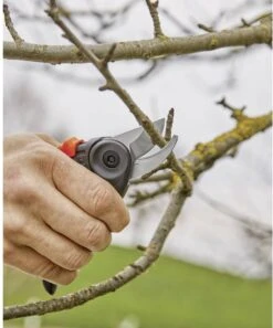 GARDENA - ExpertCut - Snoeischaar - 22 Diameter Tak -Gardena Verkoopwinkel 999x1200 1